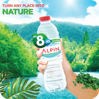 Background_Alpin (1)